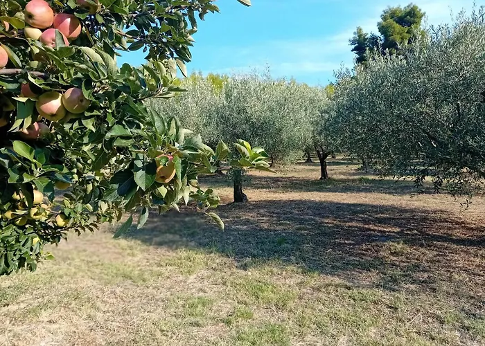 κτήμα *
