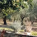 κτήμα בית נופש *