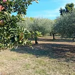 κτήμα *