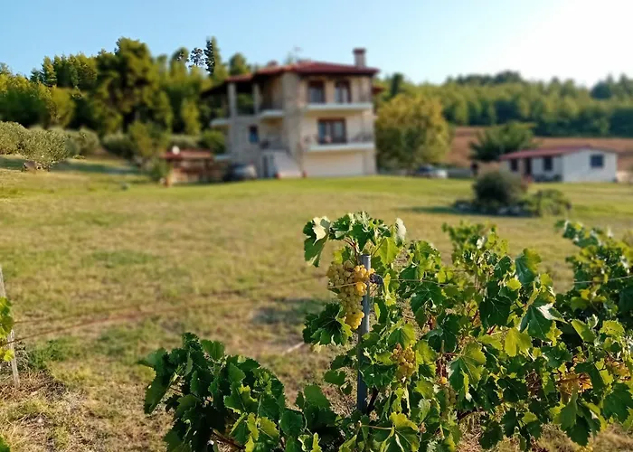 Κτήμα Verde 度假居