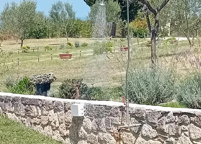 度假居 Κτήμα Verde 圣帕拉斯凯维