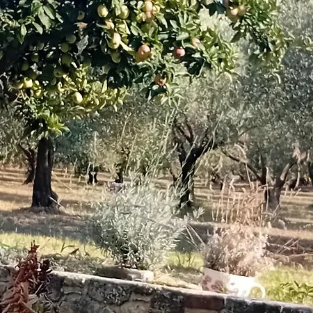 κτήμα Nyaraló *