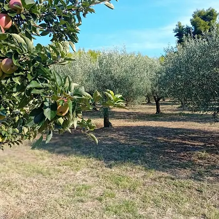 κτήμα *